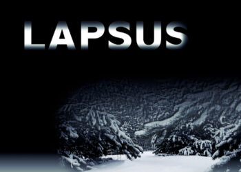 Esa Ronkainen: Lapsus